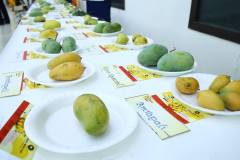 NMC Media Mango Festival Delhi